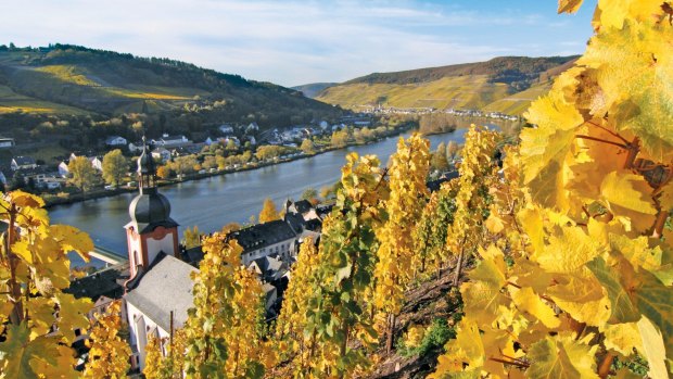 The vineyards of Zell in Germany.