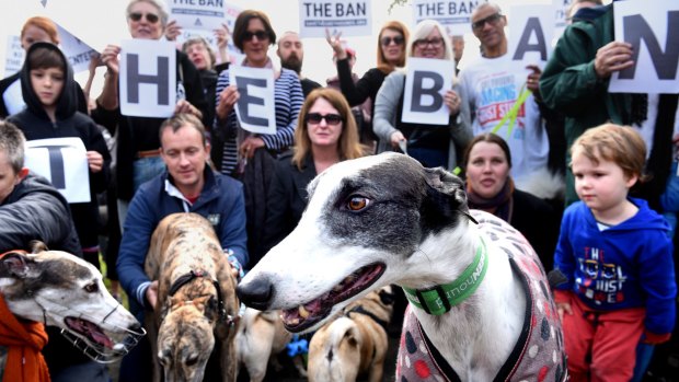 Supporters of a ban on greyhound racing at a park in Newtown on Sunday. 