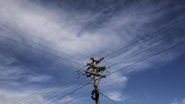 Helicopters will be used to inspect Canberra's overhead powerlines this month. 
