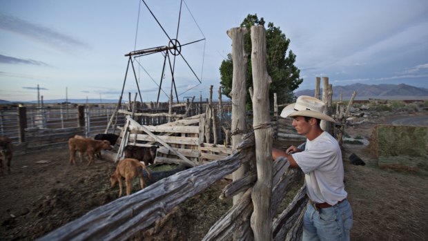 Hank Filippini on his family's ranch in Battle Mountain, Nevada. 