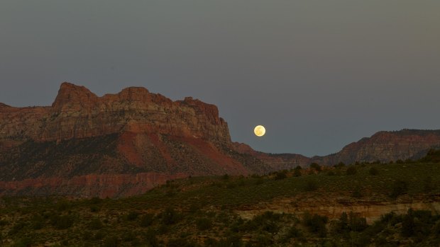 Transcendent: Moonrise over Zion National Park.