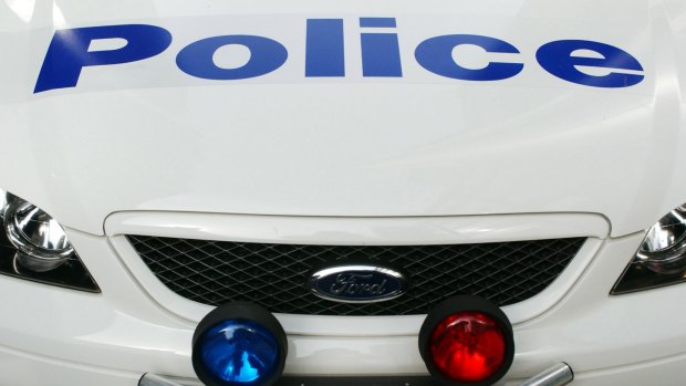 Two men have been charged with assault after one 'mooned' a woman driver.