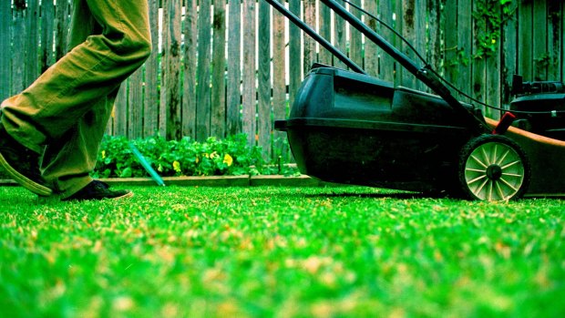 Brisbane City Council assures residents it is mowing public spaces more than the previous Labor administration did.