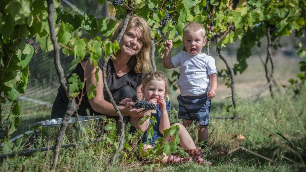 Summerhill Road Vineyard owner Sarah McDougall with her kids Eloise and Ryder.