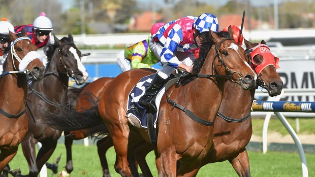 Damien Oliver riding Fell Swoop to victory in Melbourne. 