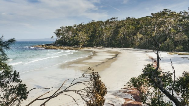 One of the many beautiful white sand coves at Jervis Bay in New South Wales.