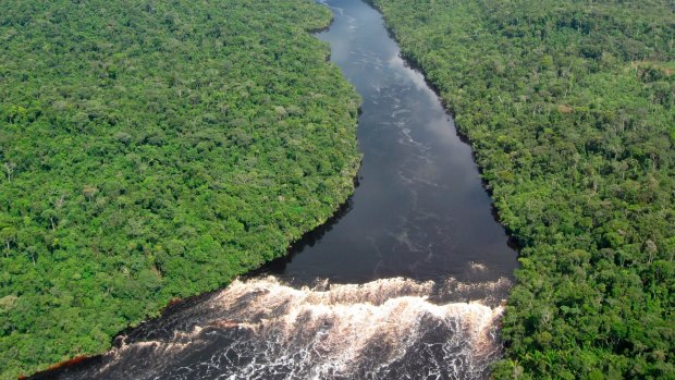 The climate-shaping Amazon region.