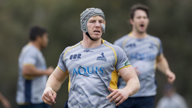 Back from injury: David Pocock will start against the Highlanders.