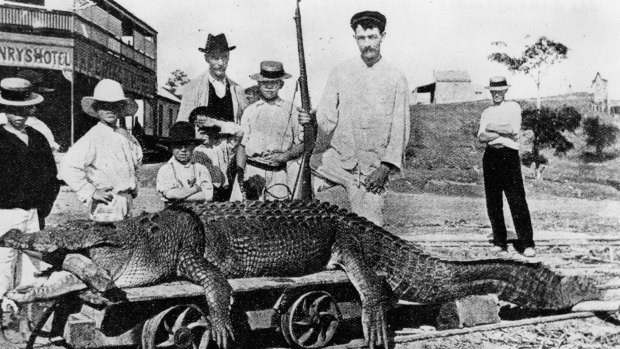 A group of men and boys posing with a dead crocodile, 1907.