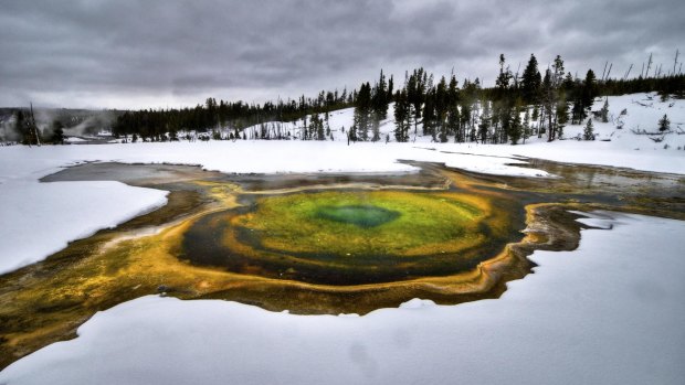 Yellowstone's geothermal features are even more striking when surrounded by snow.