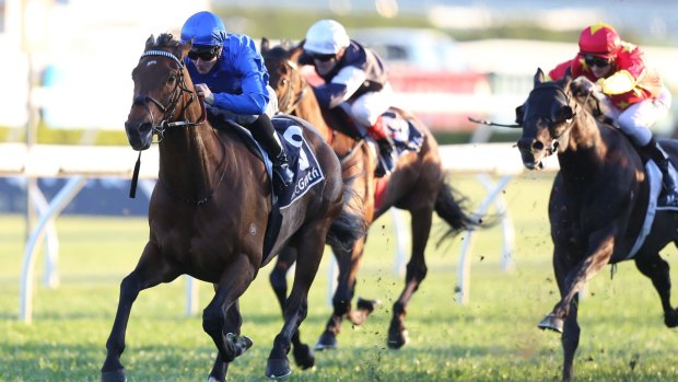 Group 1 winner Magic Hurricane has been nominated for the $200,000 Canberra Cup.