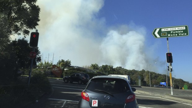 Burning off in Lane Cove Park earlier this week.