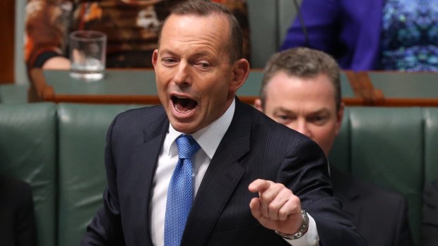 Former prime minister Tony Abbott was sent to the backbench following the September leadership spill.