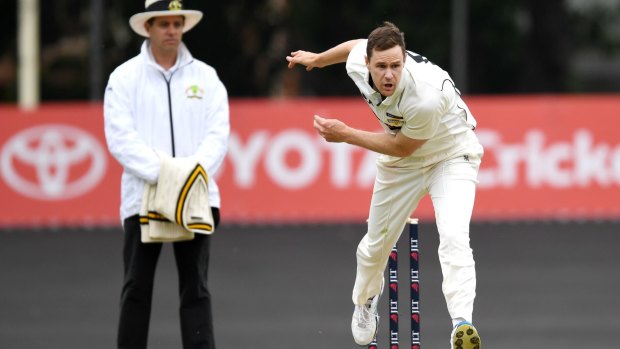 Jason Behrendorff has been ruled out of the IPL season.