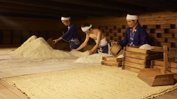 Preparing freshly steamed rice for sake production in Nada sake district, Kobe City, Hyogo Prefecture.