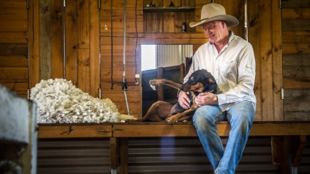 Craig Starr is set to sell more than 2300 kilograms of wool in coming weeks.