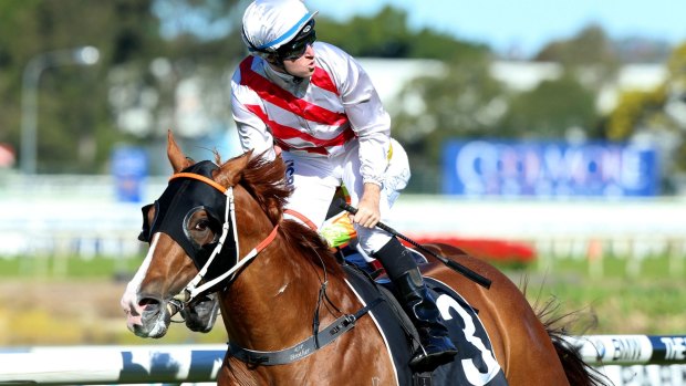 Winning delivery: Tommy Berry rides Star Turn at Rosehill.