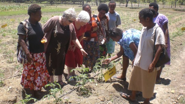 Professor Barbara Pamphilon (third from left) in Papua New Guinea, where she is teaching business and agricultural management skills to women farmers.

