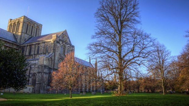 Winter trees under clear blue sky with ancient Winchester Cathedral in background. 