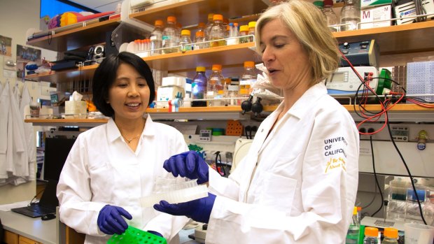 CRISPR co-inventor Jennifer Doudna, right, and lab manager Kai Hong in Berkeley, California.