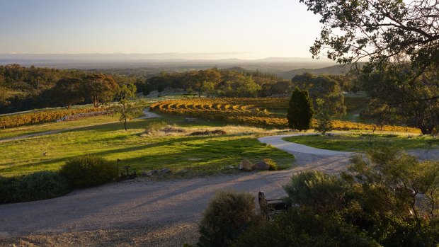 Giaconda has no cellar door for sales and doesn't encourage visitors. 
