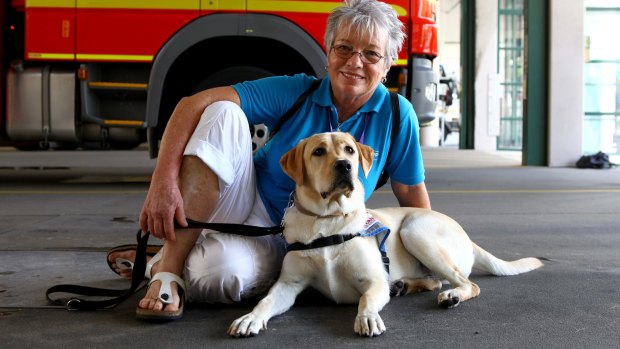 9.5-month-old Seeing Eye Dog Yvie visits the Roma Street Fire Station with Seeing Eye Dog Australia puppy carer Annatjie Hunter, from Kenmore Hills.