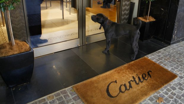 Every shopper (and their dog) is looking forward to the arrival of new luxury retailers like Cartier.