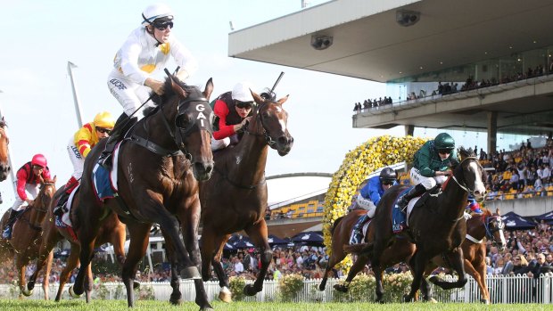Career change: After winning the 2015 Golden Slipper in fine style, Vancouver has retired to stud.