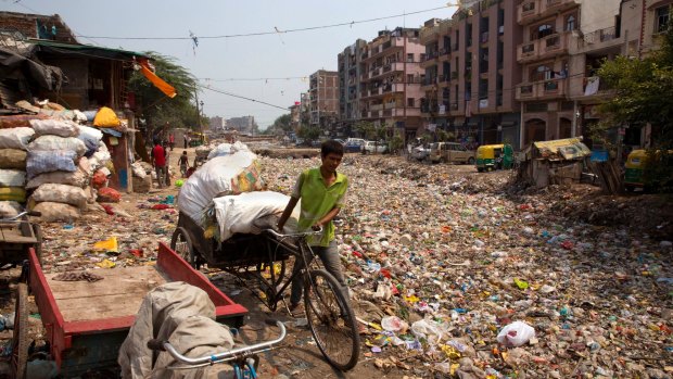 A rag picker pulls his rickshaw along an open drain filled with plastic and stagnant water which act as a breeding ground for mosquitoes in New Delhi, India.