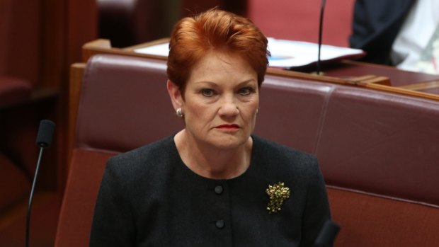 Students with disabilities are putting a strain on teachers and schools, Pauline Hanson has told Parliament.