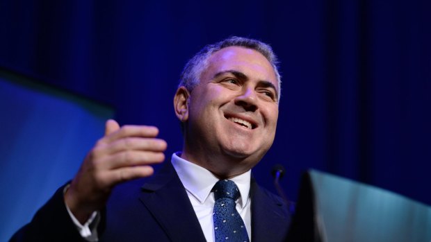 Treasurer Joe Hockey has said the government's paid parental scheme scheme was only ever meant to be a "safety net" for when businesses could not provide a payment.