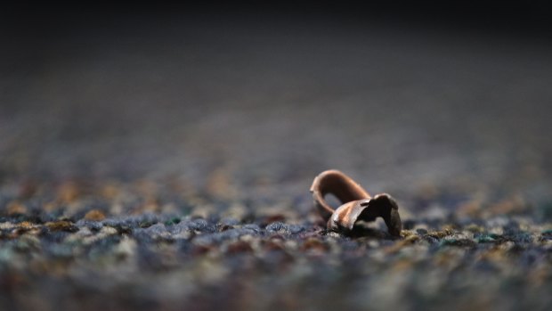 Bullet shells rest on the crime scene pavement.