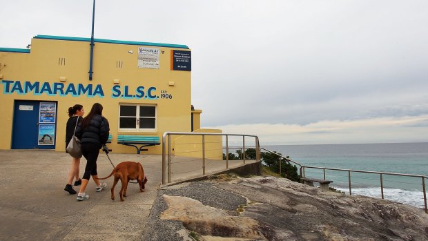 The path ahead will be getting warmer: Women walk a dog at Tamarama Beach.