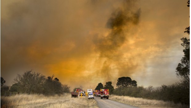 CFA Firefighters fight a fast moving fire near Mount Bolton near Ballarat on Tuesday.