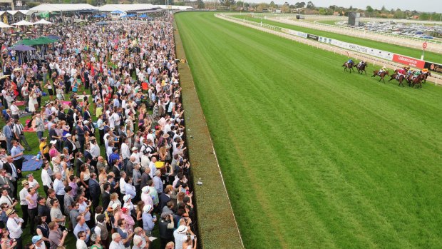 The Caulfield track came in for criticism on Saturday for its harshness.
