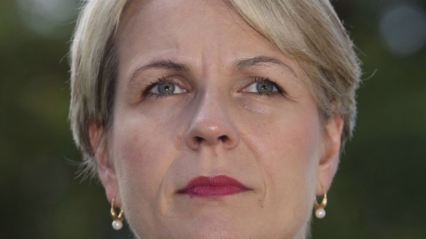 Labor's foreign spokeswoman Tanya Plibersek says if Mr Abbott believes Australia should be involved in Syria "he should make a case to the Australian people" in the Parliament.