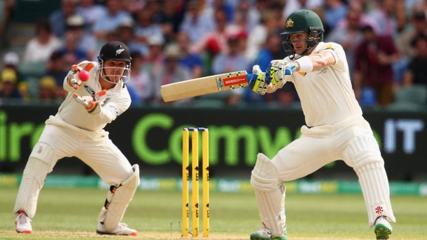 Brad Haddin says the man who took his spot "looks at home" behind the stumps for Australia.