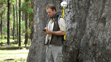 Metropolitan councils are employing environmental consultant Paul Barber to analyse tree canopy cover and land surface temperatures in their areas. 