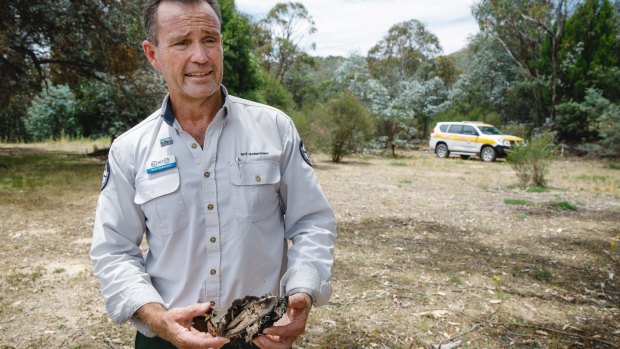 ACT parks and conservation service regional manager Brett McNamara holds the remains of a shoe belonging to one of his children at the site of his former house in Tidbinbilla, which was razed by the 2003 bushfires. 
