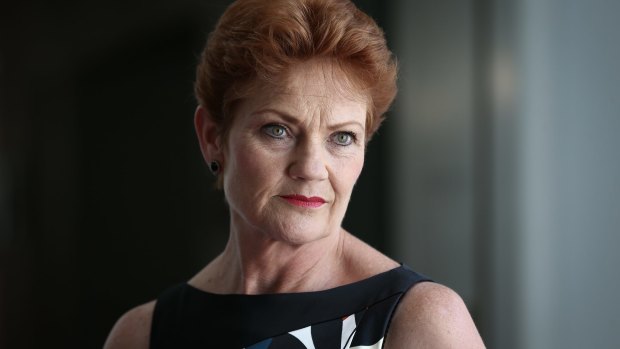 Pauline Hanson re-emerged as a political force in 2016.