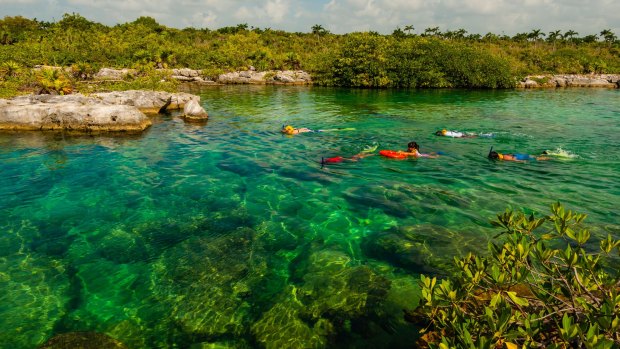 Snorkelling at the Caleta Yal-ku lagoon, near Riviera Maya is a once-in-a-lifetime experience.
