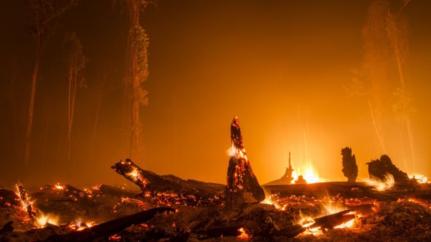 Indonesia's forest fires have affected the air across South-east Asia and caused respiratory problems for hundreds of thousands of people.