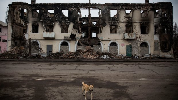 A dog walks past a destroyed building in Uglegorsk, Ukraine.