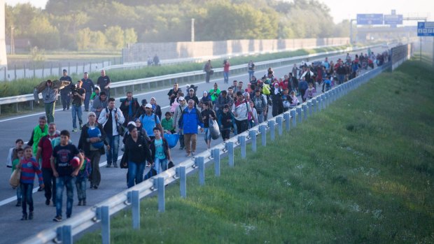 Migrants who have refused to travel to the Roszke registration centre walk along the nearby motorway in Roszke, Hungary. Thousands are walking to Germany.