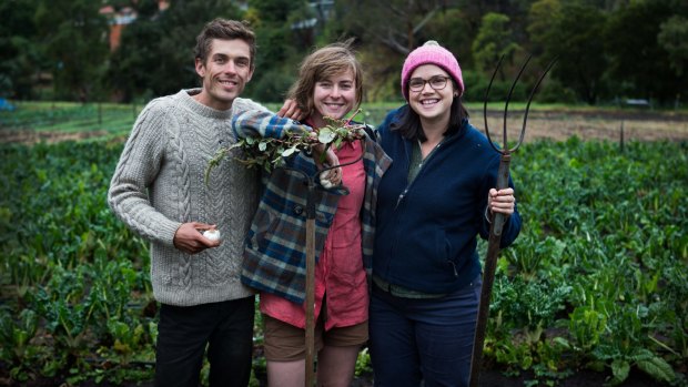 Paul Miragliotta, Emily Connors  and Em Herring (right) are thrilled to be taking part in the Pop-up Garlic Farmer – an initiative in which  people will be growing small garlic crops at different farms, including this one in Coburg.  