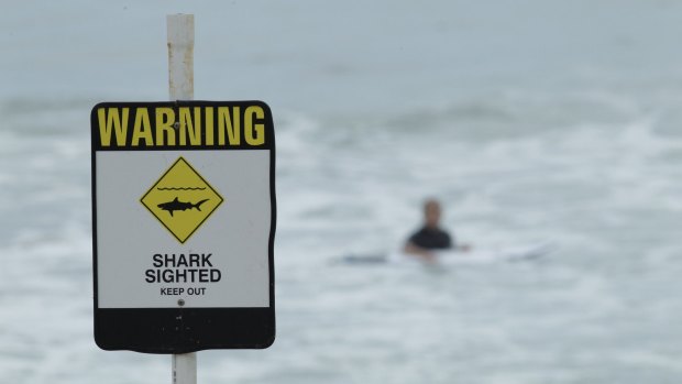 Warnings of danger are not always heeded, as proved at a Newcastle beach.