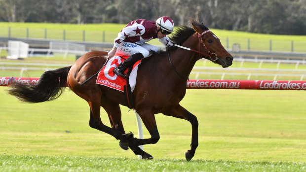 John Allen drives two-year-old Cliff's Edge to victory in the opening race on the card at Sandown on Saturday.