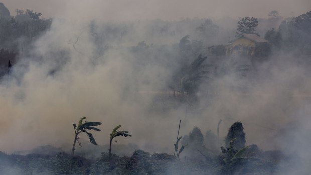 Thick smoke from a peatland fire in the Ogan Ilir district in Palembang, South Sumatra, earlier this month.