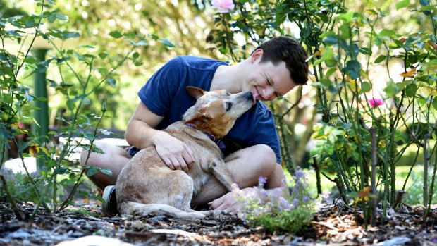 Nikolai Love is one of nearly half of Australians who won't be celebrating Valentine's Day. He is pictured with his dog Zena.
