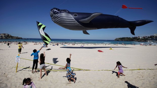 Be amazed at the Festival of the Winds, Bondi Beach.